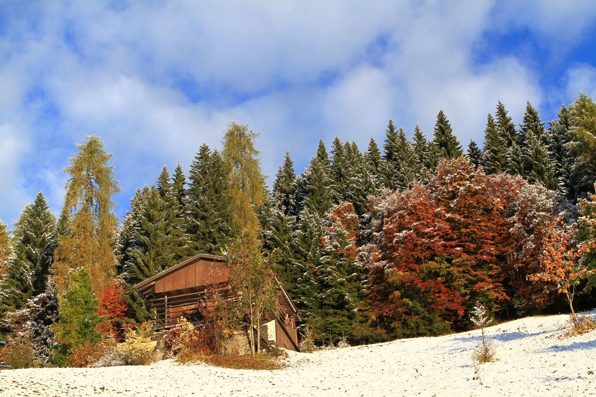 Sauris Zahre BEST TOURISM VILLAGE by UNWTO tweet media