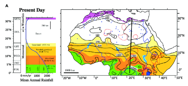 marco nius tweet media