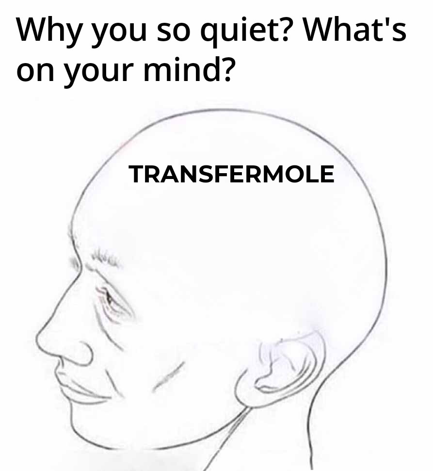 agbaBartholome1's tweet image. "🚀 #TRANSFERMOLE delivers swift and seamless P2P transactions.

Don't miss out—experience speed and simplicity like never before!"