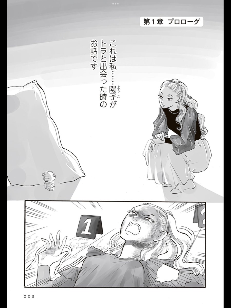 (2/6) 