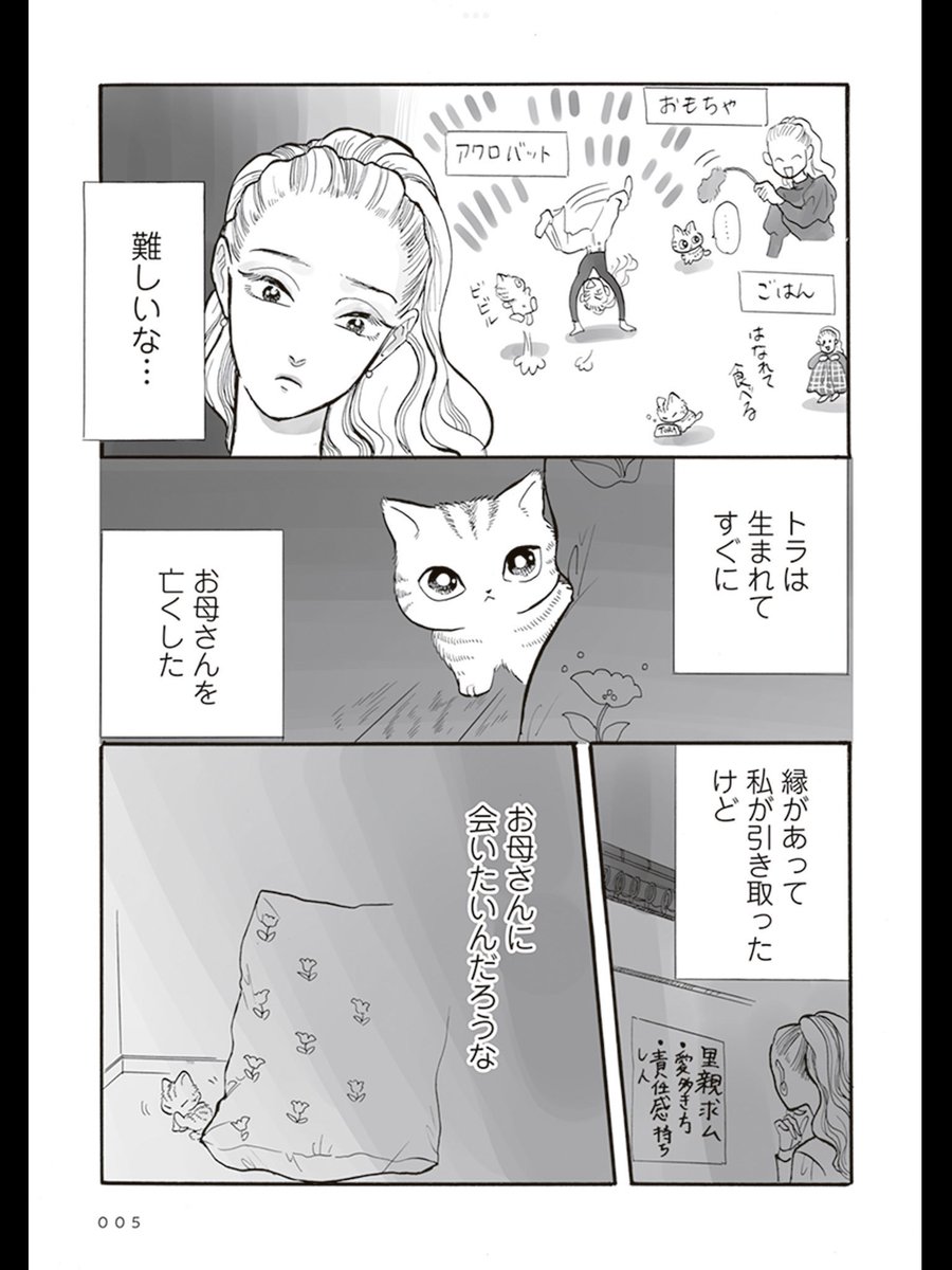 (2/6) 