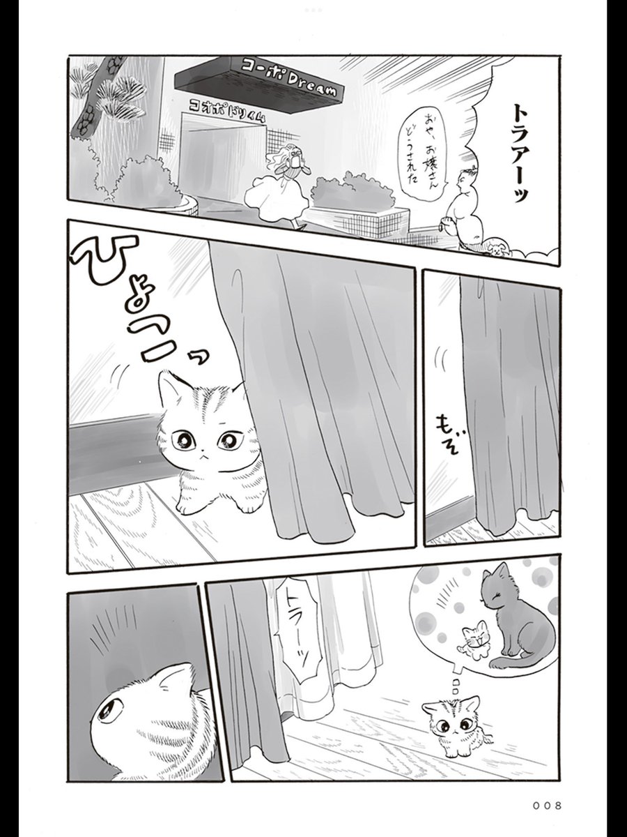 (3/6) 