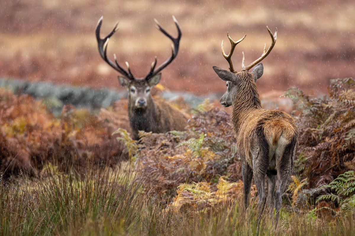 Nigelcb's tweet photo. @AP_Magazine Yes not bad https://t.co/O4N8WbiDbC