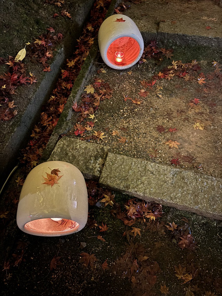 i_chirimen's tweet photo. 一日お疲れ様でした🍁
本日は与謝野町の明石地区にある、慈徳院さんの紅葉を見に行ってきました！
雨があがり、とっても綺麗でした😊
(※ライトアップは本日までです)

当社のオンラインショップも良ければ覗いてみてください🎶↓
https://t.co/C1DxKDSXPQ
#企業公式さんと繋がりたい 
#紅葉 https://t.co/KgcK1PHHbp