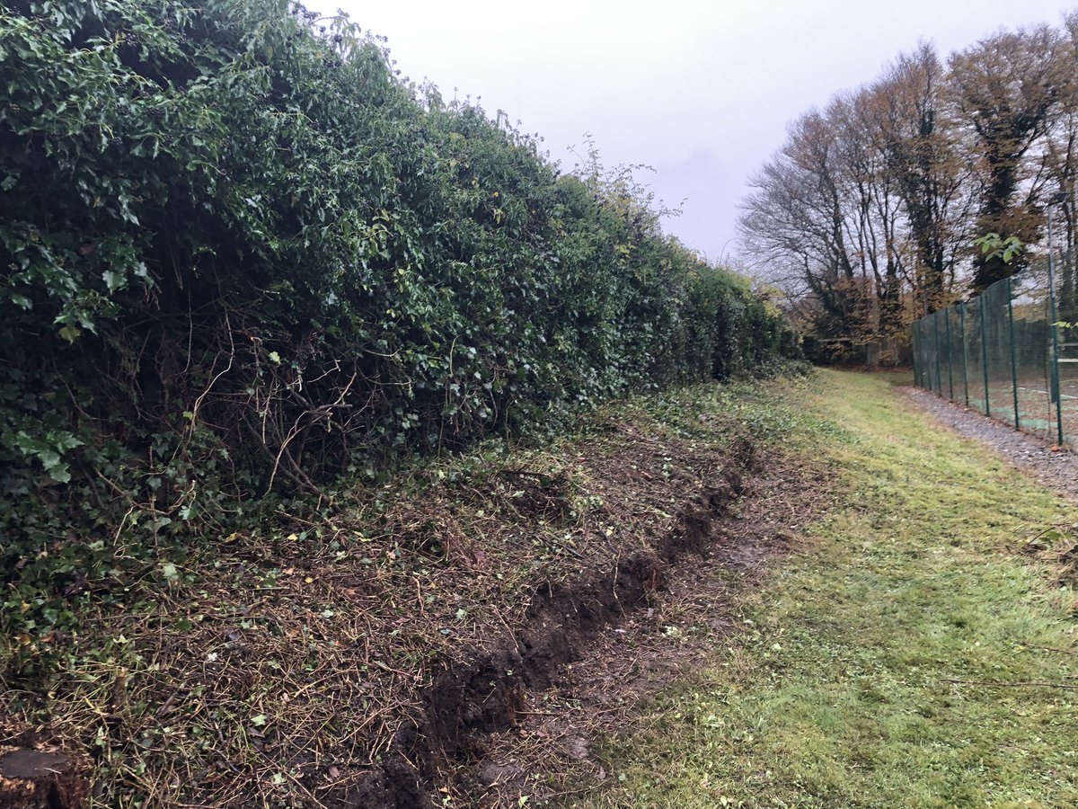 Andy Barber tweet media