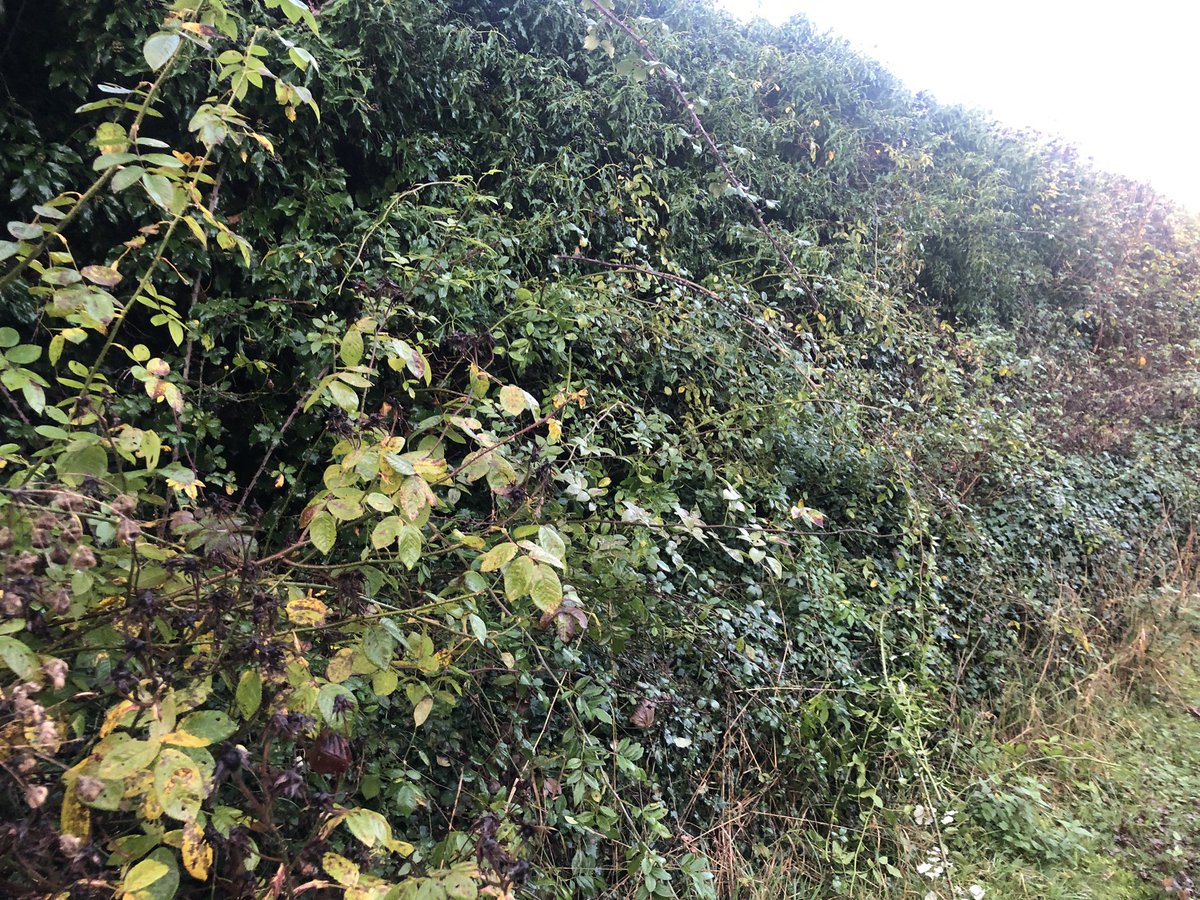 Andy Barber tweet media