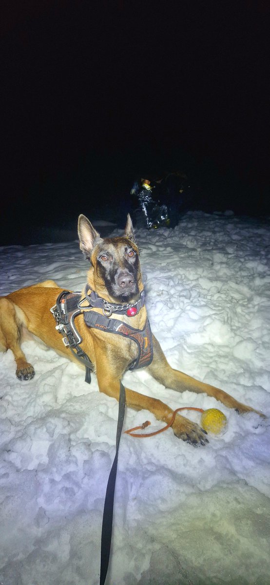 mrkallekos's tweet photo. Bonon avulla pelastettiin viime yönä ihminen ❤️ 

Poliisikoirat ❤️

#hämeenpoliisi #mustamaskimalinois #poliisikoira #workindog #poliisikoirayhdistys #mustamaskinbono https://t.co/cQ2SMQ8Tsw