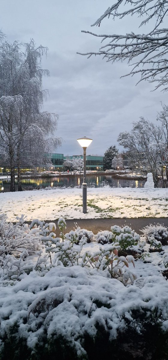 Edge Hill University campus aka beautiful winter wonderland this week