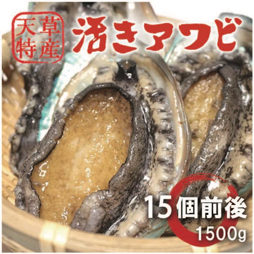 今日は、土曜日だね♪
昨夜は、懇親会で天草の美味しいお魚料理を食べたよ🍤
天草特産品ショップでは、この年末のお歳暮商品に活きアワビをお勧めします♪
コリコリでとっても美味しいよ♪

123amakusa.com/smartphone/lis…

#お歳暮
#アワビ
#天草
#お取り寄せ
#コリコリ
#嬉しい