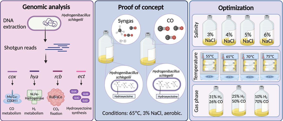 Sara Cantera tweet media