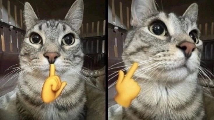 𝑀𝒾𝓏𝓏𝓎👾💚 tweet media