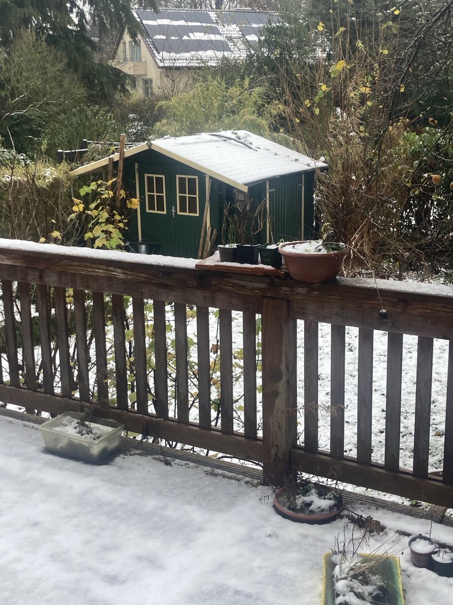 Anwalt von Welt 💛💙 tweet media