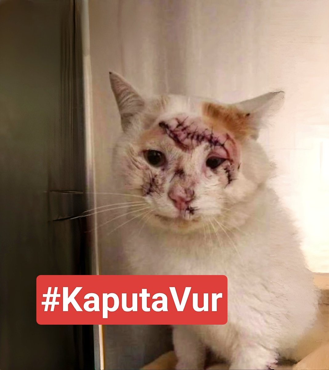 Kontağı çevirmeden #KaputaVur.