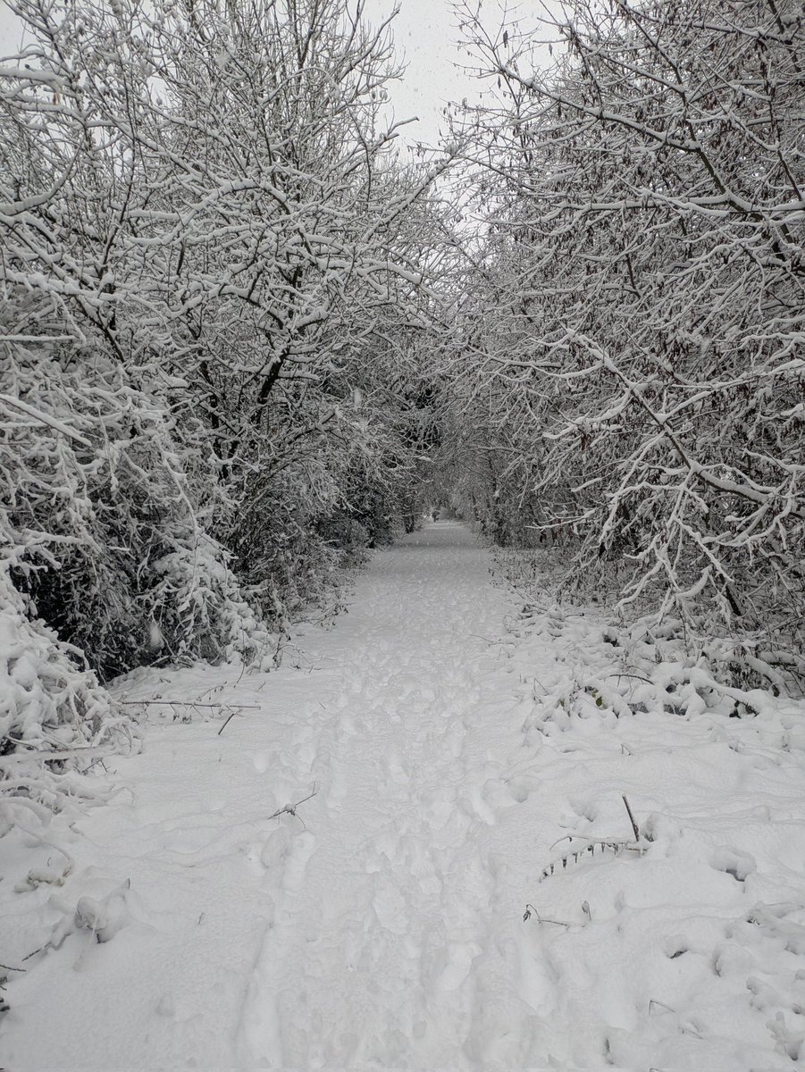 This is lovely but can we please have the promised thaw so that I can get to <a href="/bellowheaduk/">Bellowhead</a> tonight please?