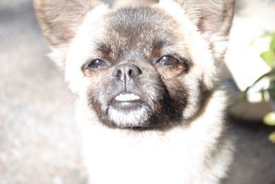 커튼콜 

내 시점 

관객분들