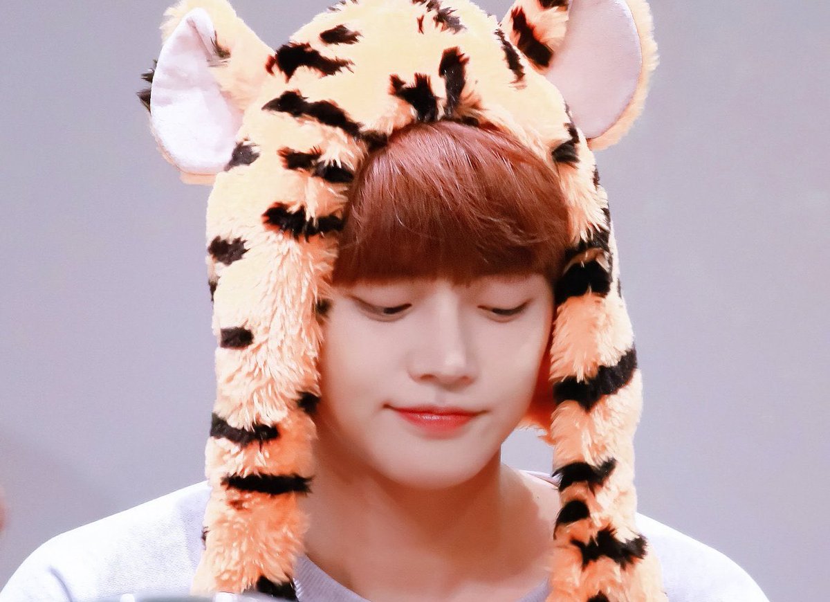 Tan mal si creen que hoy no estaré dentro del #𝓀𝕚͟t𝐭y子猫𝐜orē ¿saben? ya que es obvio que como el bestie bonito de este niño debo disfrutar del #m𝕖̈e𝐭୧ꪆ۰𝐤y𝑙͟e dándole muchísimos cumplidos y chismes al mejor.

𝕕e𝚖o𝚗 ᭬ 🫀ᵕᵕ ‧ 𝕔rūs𝚑 #𝐃azā𝕚.