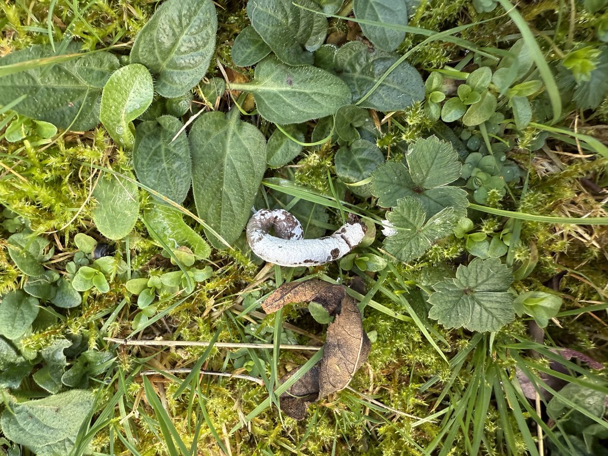 Gavin Vella tweet media