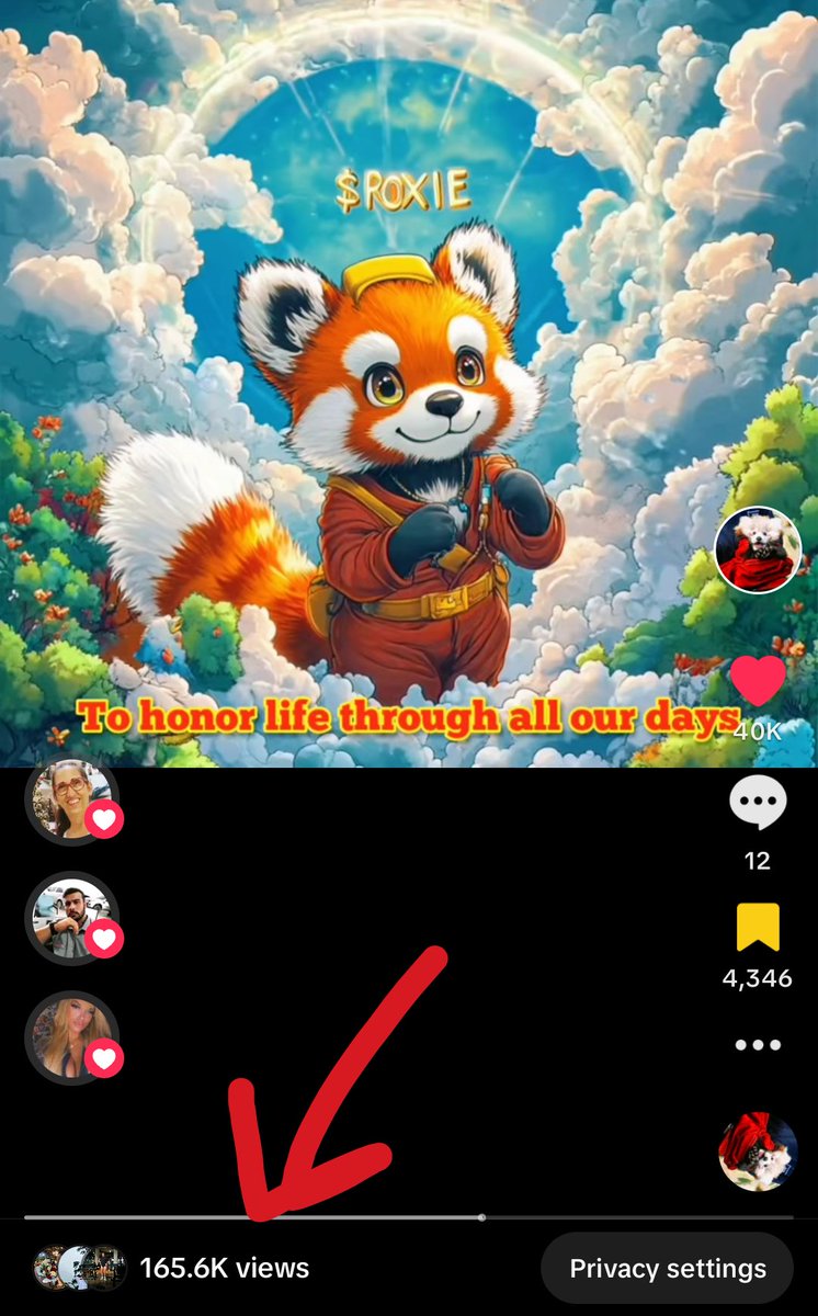 Roxie The Red Panda tweet media