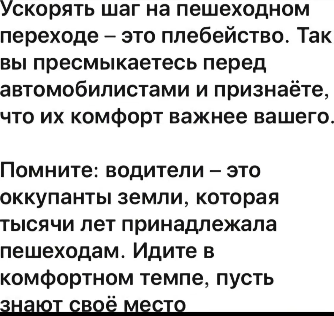 лашден tweet media