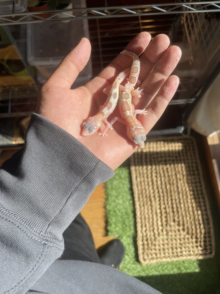 どん底太郎　7013050 どん底太郎 (@yc_fyq) / Posts / X