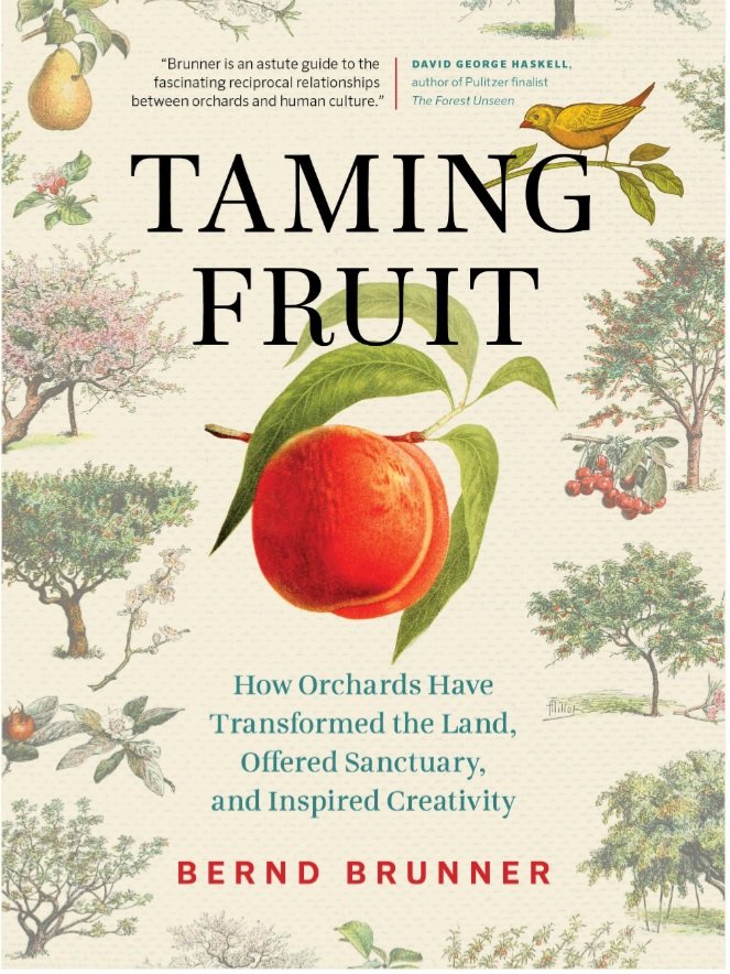 arasrandevu's tweet image. Among the books I wrote this heavily illustrated popular history of fruit cultivation and orchards remains my favorite. Available in English (translated by Lori Lantz), German, Spanish, Korean, and Chinese. Rights with @greystonebooks @JMLockhart2 #orchard
berndbrunner.com/html/orchard.h…