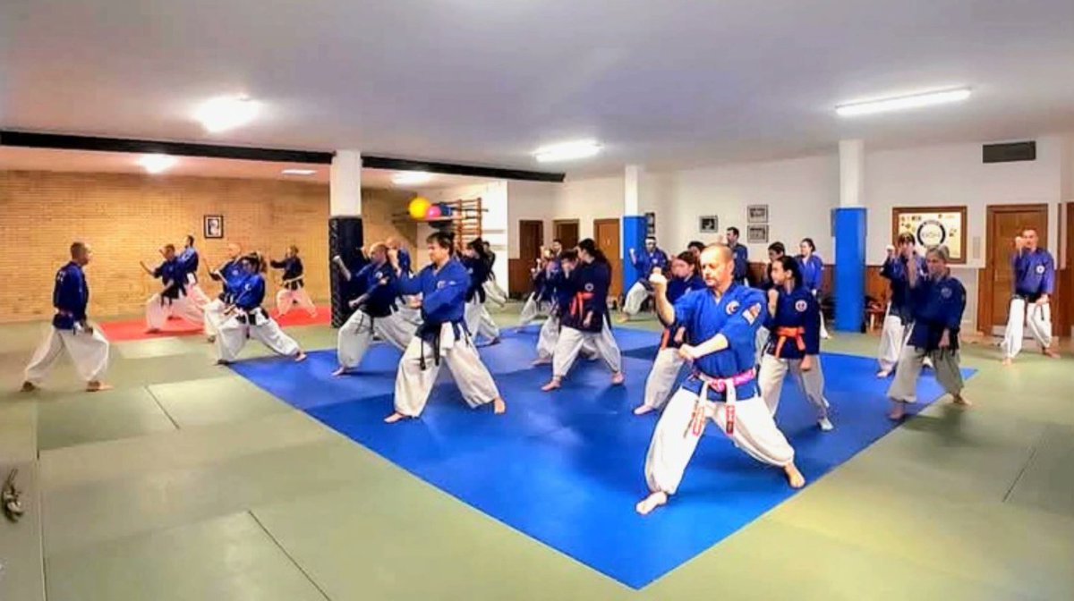 NanbudoSakura's tweet image. Bueno... deprisa y corriendo, ya que casi se nos junta con el Tokubetsu de hoy sábado (cosas del trabajo), aquí van unas pocas fotos y capturas del Tokubetsu de Iaido y Nanbudo del sábado pasado, en el Dojo Sakura de Huesca. 
Practicamos media horita de Iaido, que como siempre