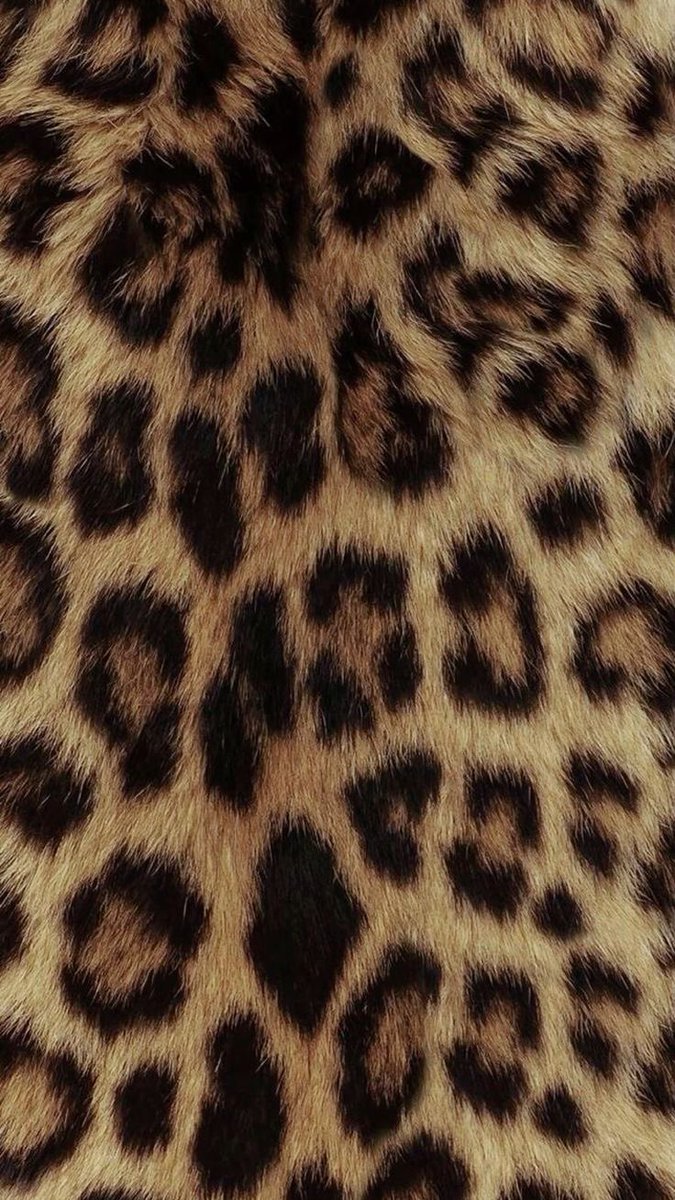 untitledallure's tweet photo. leopard 🐆 https://t.co/IrbzWOn2wT