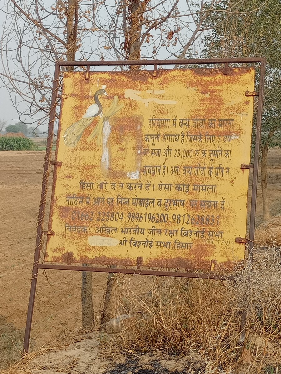 अखिल भारतीय जीव रक्षा बिश्नोई सभा और बिश्रोई सभा हिसार से प्रार्थना है कि जहां कहीं भी ये बोर्ड लगें हुए हैं। इन पर पेंट करवाया जाएं।
<a href="/bishnoikuldeep/">Kuldeep Bishnoi</a> #bishnoi <a href="/bbhavyabishnoi/">Bhavya Bishnoi</a> <a href="/AHKHAND/">अखंड</a> <a href="/Devendraburia/">Devendra Bishnoi</a> <a href="/BishnoiAmazing/">Amazing Bishnoi Community</a> <a href="/poojabishnoi36/">Pooja Bishnoi</a> <a href="/abbmmukam/">Akhil Bhartiya Bishnoi Mahasabha (Reg.)</a> <a href="/LRGodara15/">LR Godara</a>