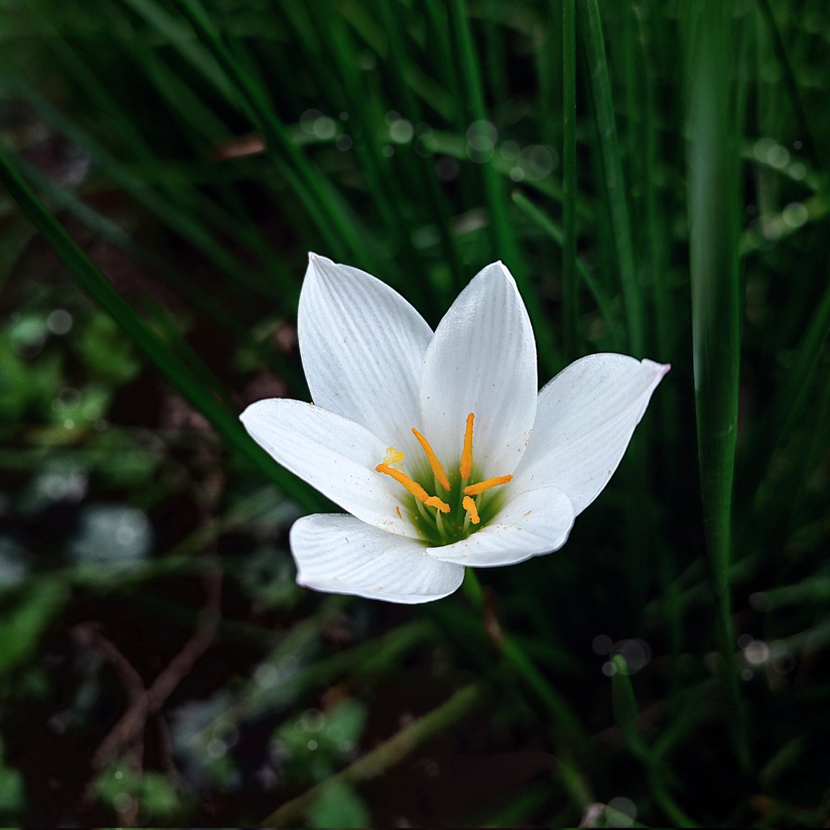 The Playmaker tweet media