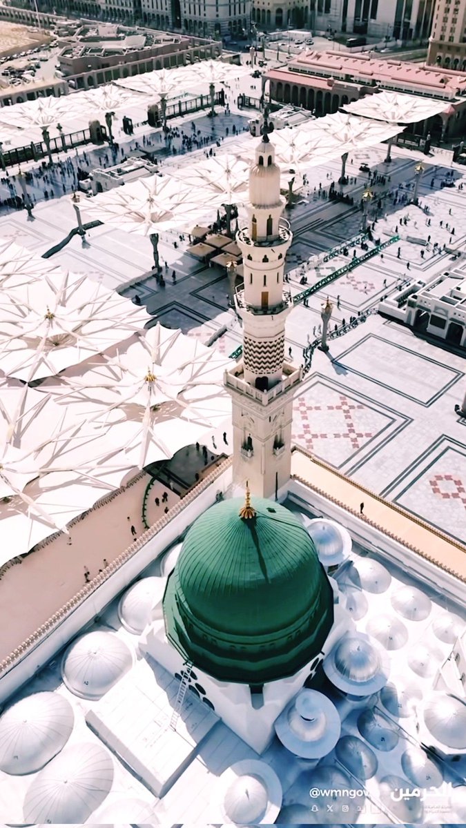 Zain Ali Shah tweet media