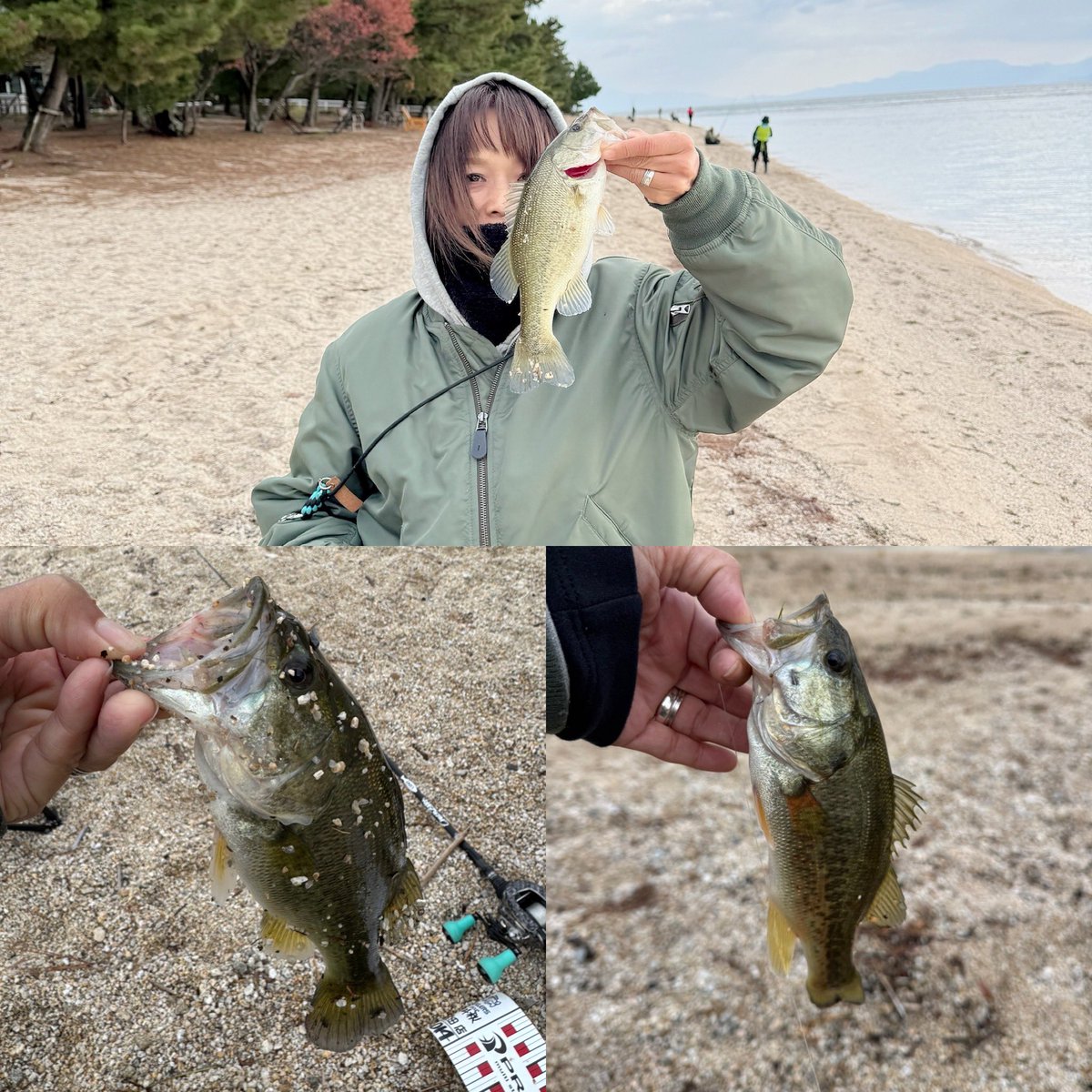 kayoko_bass's tweet photo. 今日はデカバス狙いで朝からぼぼ
ヘビキャロ(｡`･ω･)9"
デカバスは釣れなかった〜😆
けどスイング銀トラで1本
エビシャ銀ジャコで2本コバス釣れた🩷

#BSHC-73M/XH+
#valleyhill
#bassfield
#BASSHACK89
#LUV2PLNT
#琵琶湖 #バス釣り https://t.co/UEEy9CUgAx