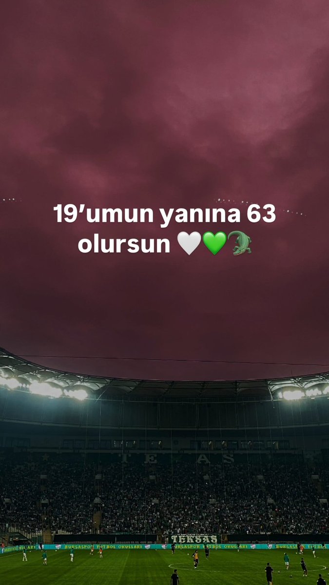 beyaz giyer kar olursun 🤍
yeşil giyer bahar olursun💚
belki bir gün timsah arenada 🐊
19’umun yanına 63 olursun 🤍💚🐊