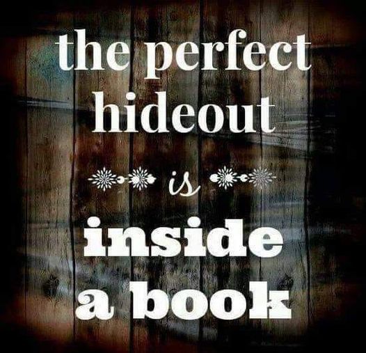HeatherWeidner1's tweet image. What are you reading this weekend? #books #tbr #idratherbereading