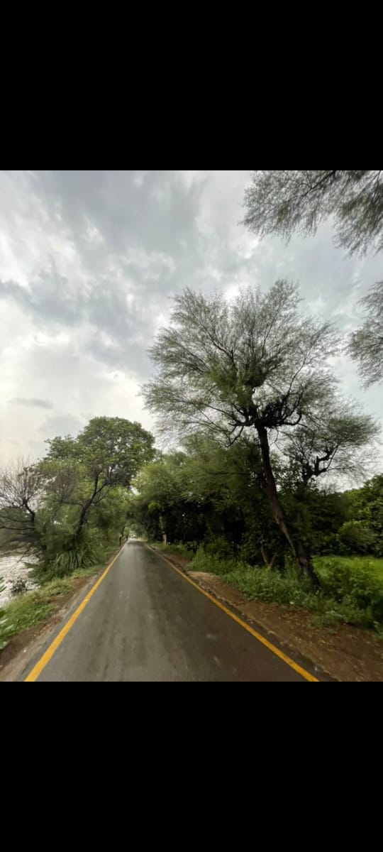 Zain Ali Shah tweet media