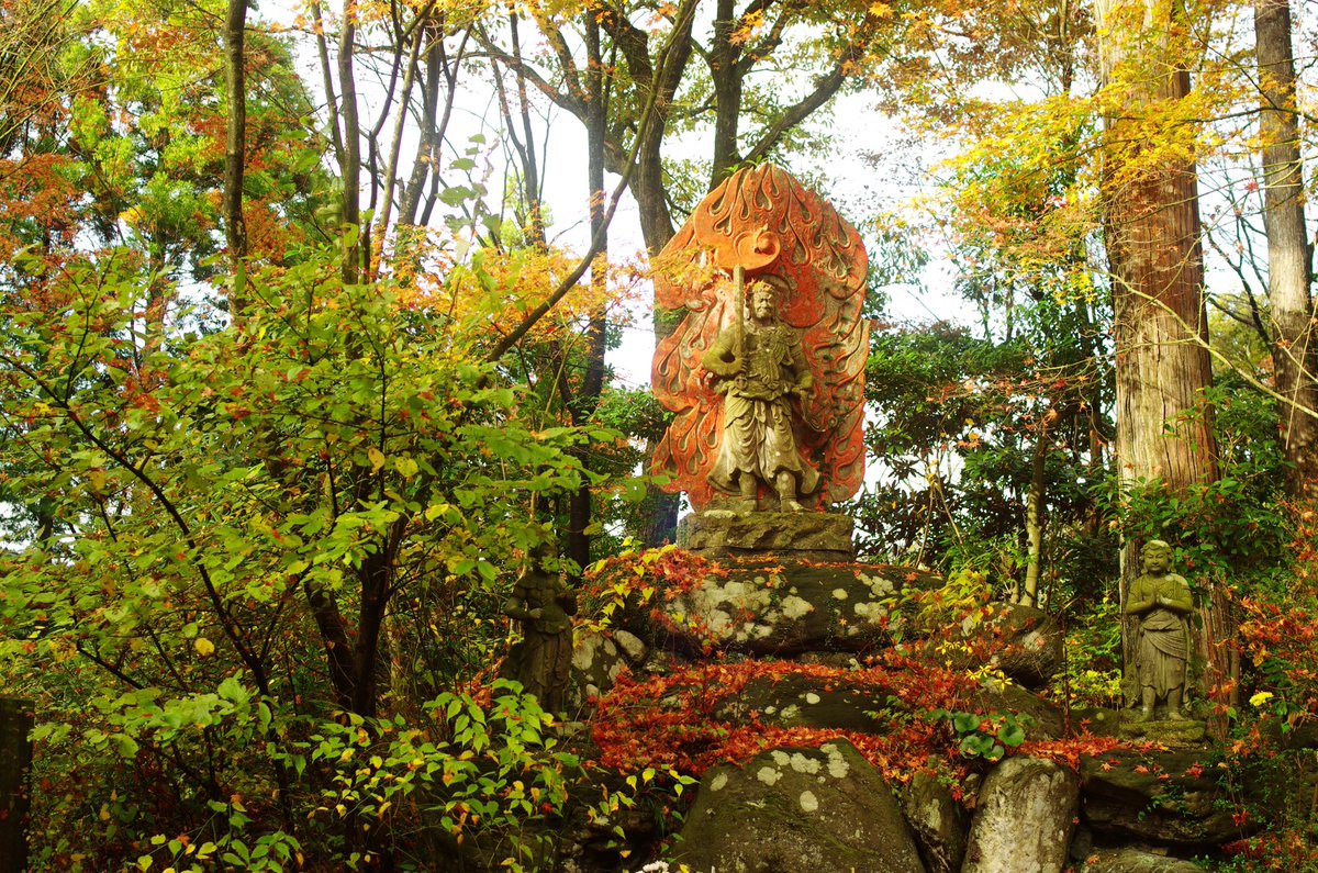 umaumabird's tweet photo. 篠栗の #呑山観音寺 に行って来ました
朝9時ですでに駐車場は8割埋まってました。キッチンカーなんかも出ていて賑わってました
#PENTAX #fa31 https://t.co/nTponKDjHL
