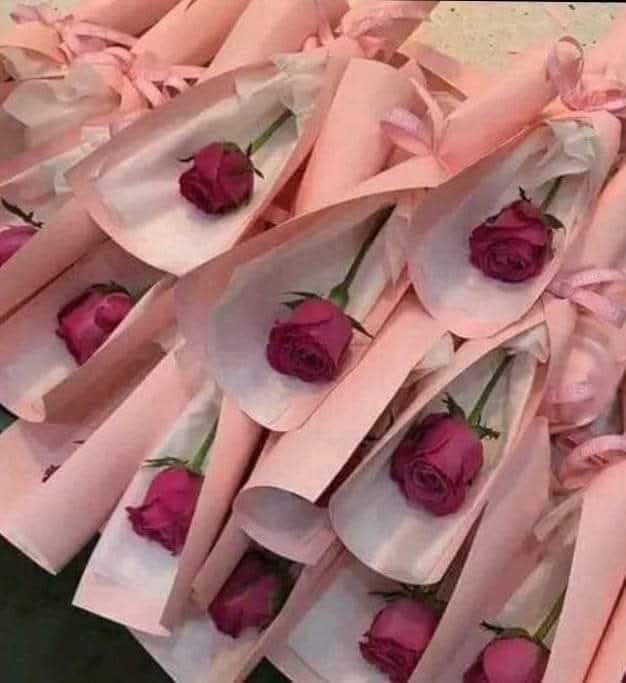 Zain Ali Shah tweet media