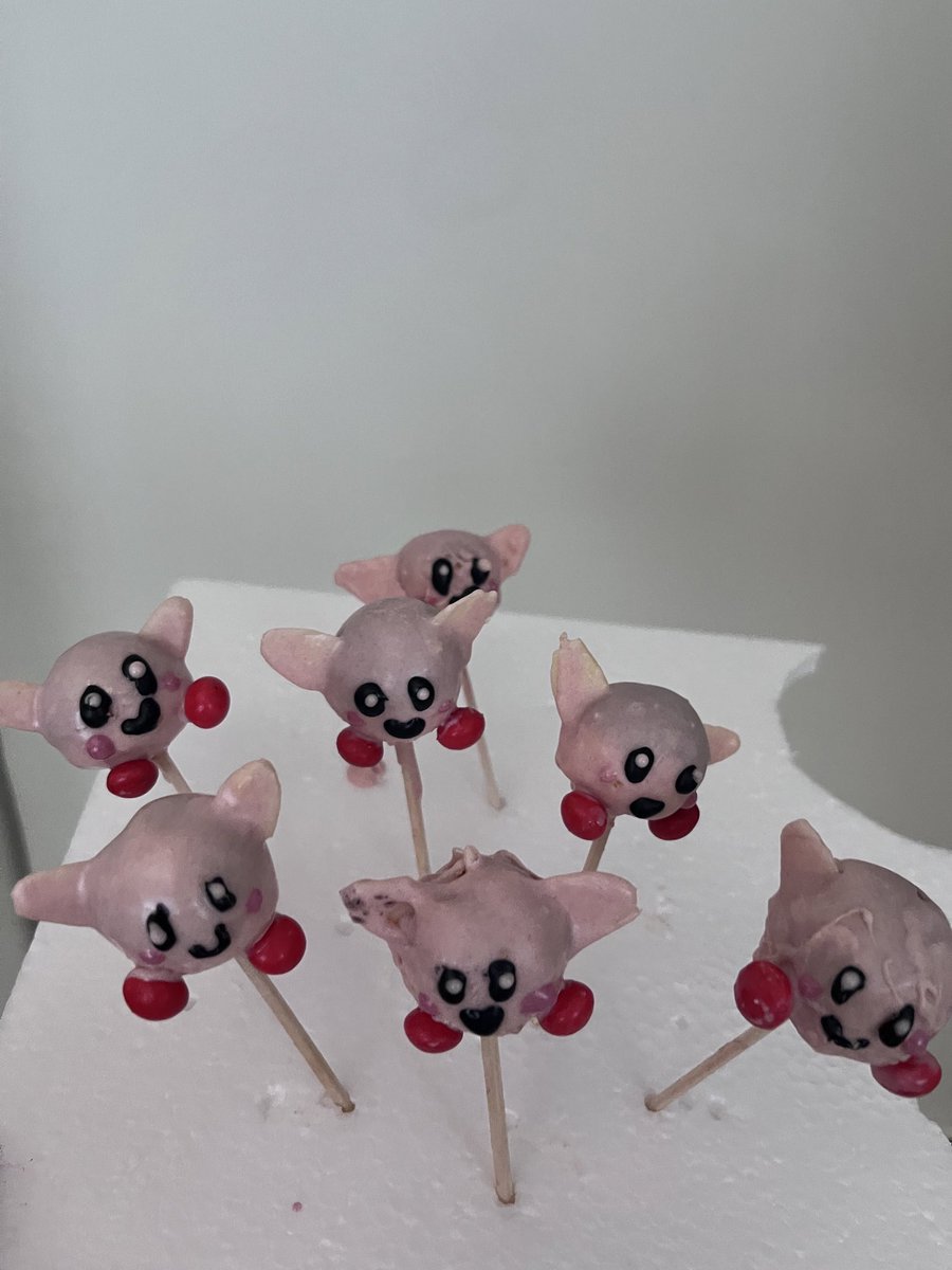 o_____opaya's tweet photo. お母さんが家に遊びにきた。
サプライズで私の好きなカービィ（らしき）の手作りお菓子を持って！めちゃ可愛くてテンション上がった。優しすぎる🥰 https://t.co/pPscwoaiJD