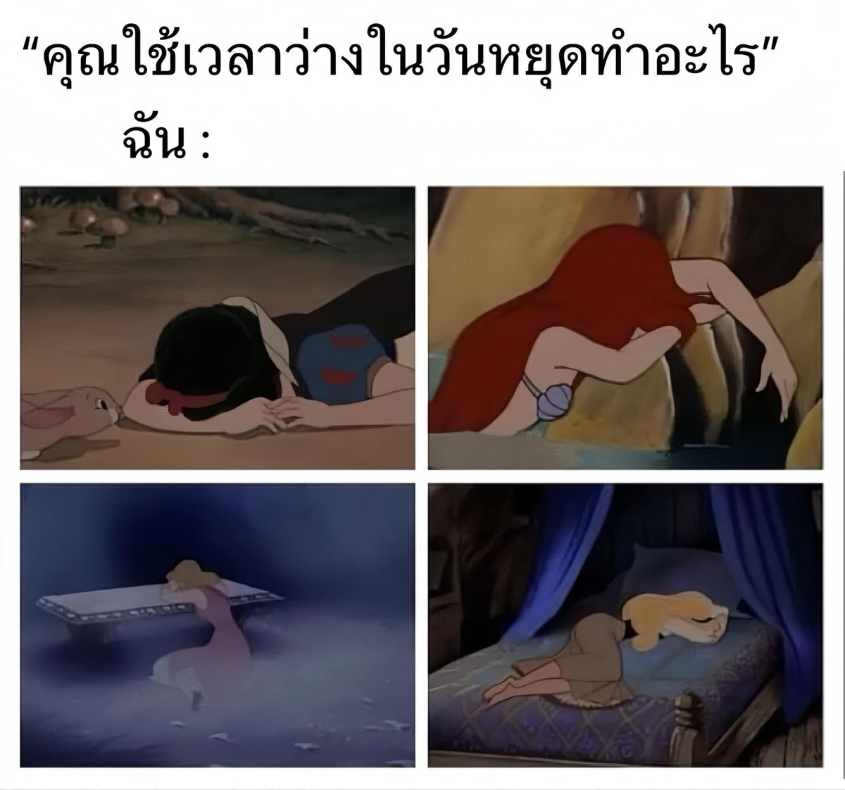 กุเลย55555555555555555