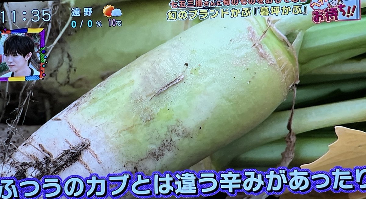 tsukaretatohoho's tweet photo. めんこいテレビ
サタファン
暮坪かぶ👏
河合くん
かぶ入れすぎwww
 #暮坪かぶ  #HOTCAT 
 #AYAORIHOTCAT https://t.co/xUXlW1cErz
