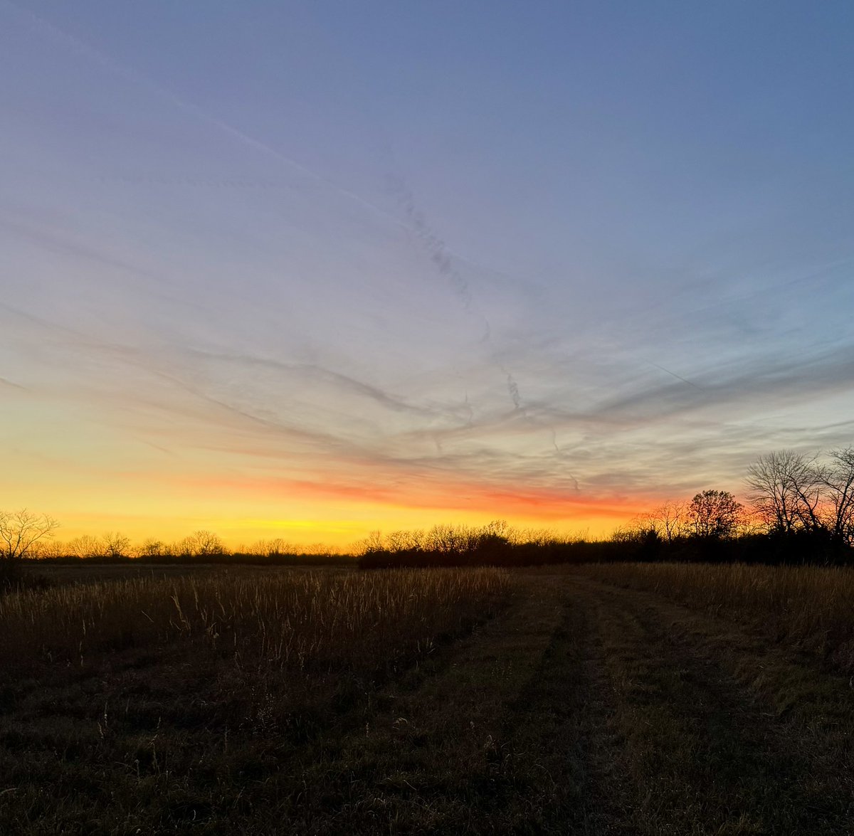 TheHaydenWatson's tweet photo. Evening one wasn’t as successful as the last two years, but it was a beautiful one. Blessed to be out here enjoying God’s country. https://t.co/bzwq6ZMgDG