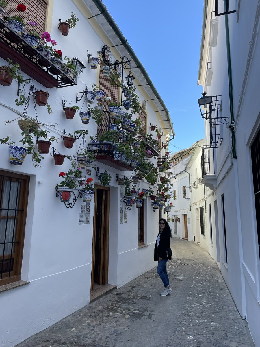 Los Viajes de Gulliver 🌏 tweet media