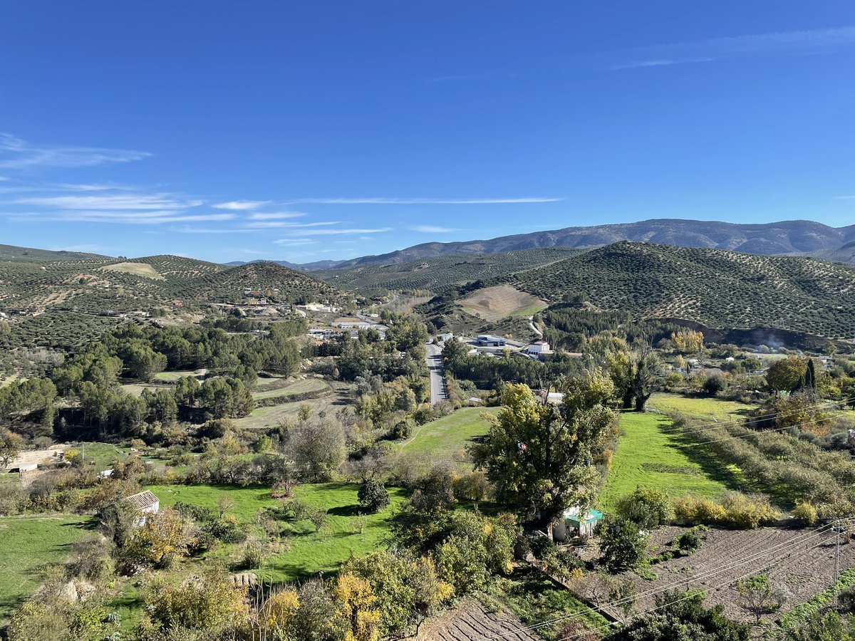 Los Viajes de Gulliver 🌏 tweet media