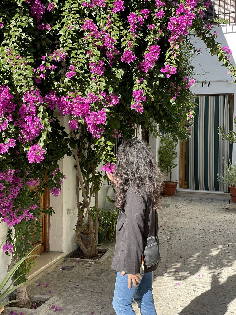 Los Viajes de Gulliver 🌏 tweet media