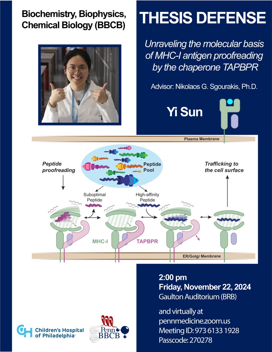 🎉 Congratulations to DR! <a href="/YiSun1212/">Yi Sun</a>  who successfully defended her PhD Thesis on molecular mechanisms of MHC-I antigen proofreading!