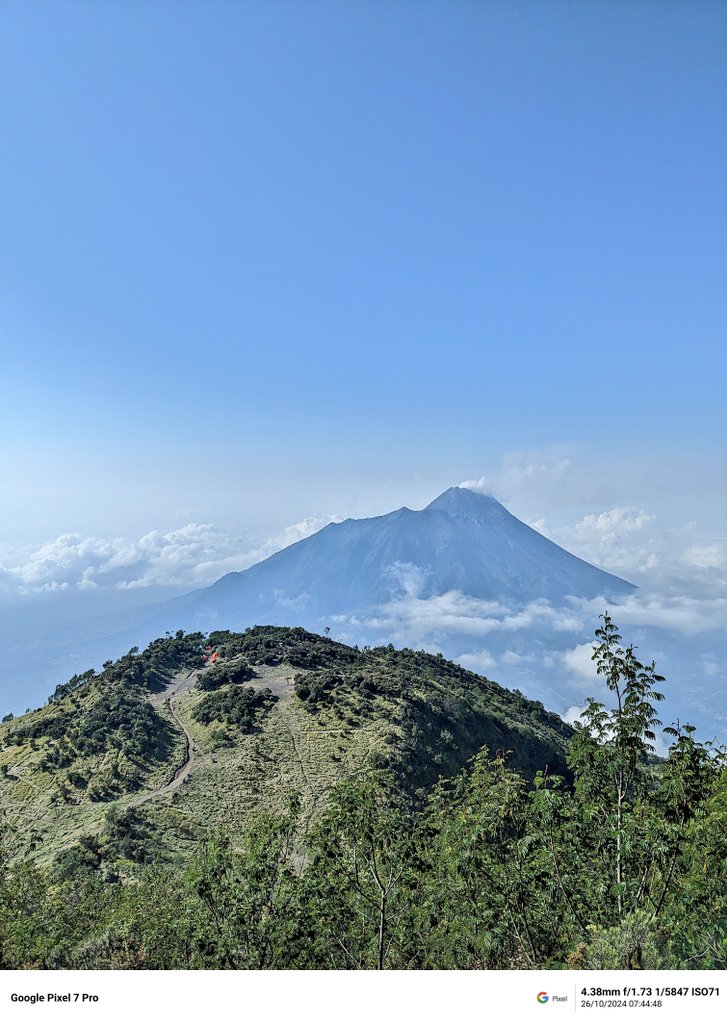 kadal àrab 🦎 tweet media