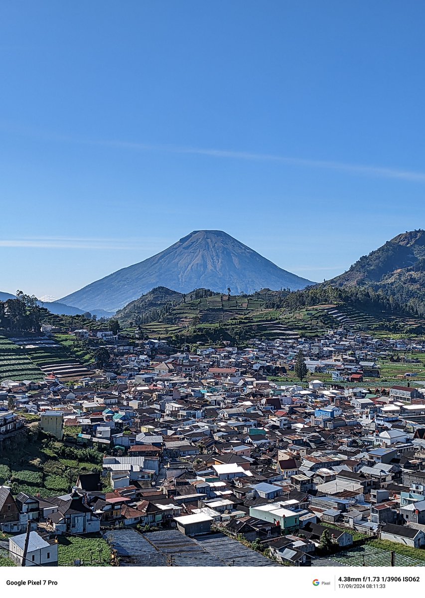 kadal àrab 🦎 tweet media