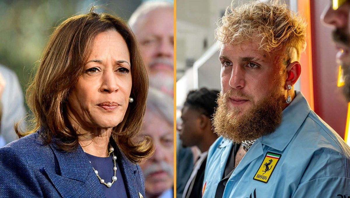 TheBabylonBee's tweet photo. To Pay Back $20 Million Campaign Debt, Kamala Harris Agrees To Fight Jake Paul https://t.co/nHng1WoU3Y https://t.co/3zqPuRXq8X