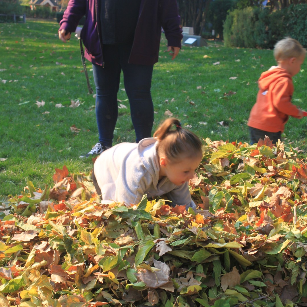 FairytaleTown's tweet image. 🍁Fairytale Town has special hours for the week of Thanksgiving!🍂
Monday the 25th: Open 10am - 4pm
Tuesday the 26th: Open 10am - 4pm
Wednesday the 27th: Open 10am - 2pm
Thursday, the 28th (Thanksgiving): Closed!

#fairytaletown #leafpile #fallfun #sacramento #thanksgiving
