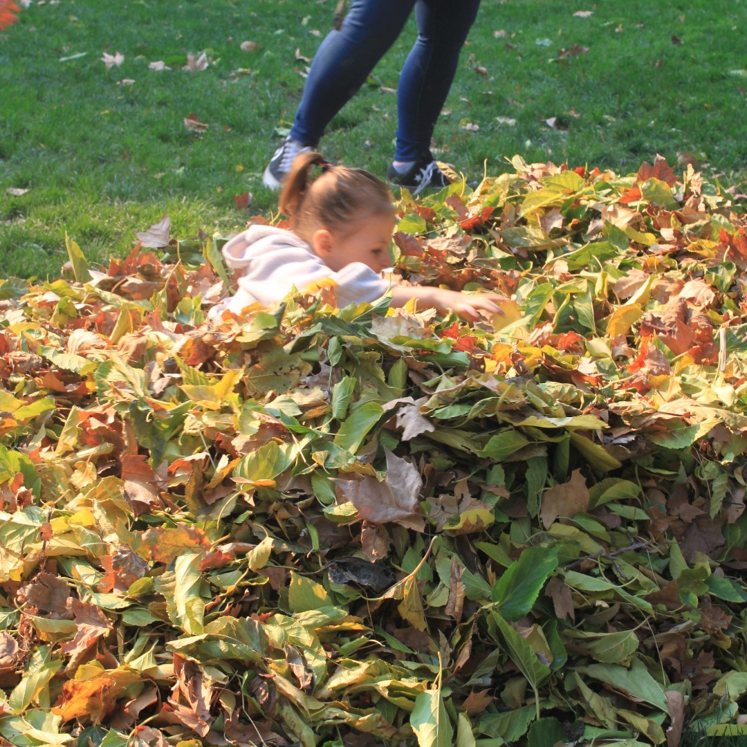 FairytaleTown's tweet image. 🍁Fairytale Town has special hours for the week of Thanksgiving!🍂
Monday the 25th: Open 10am - 4pm
Tuesday the 26th: Open 10am - 4pm
Wednesday the 27th: Open 10am - 2pm
Thursday, the 28th (Thanksgiving): Closed!

#fairytaletown #leafpile #fallfun #sacramento #thanksgiving