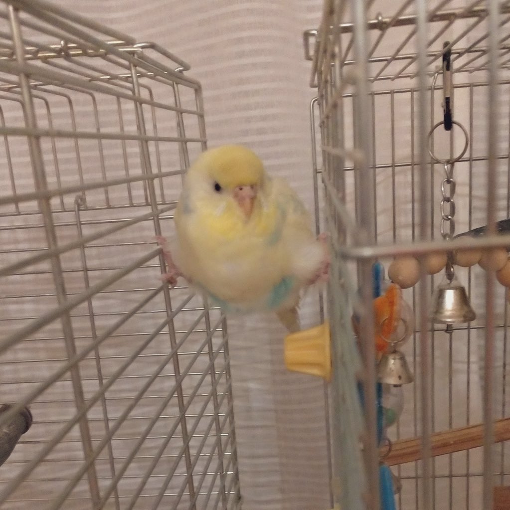 hantamago_go_'s tweet image. #何度だっていいあなたの最高傑作見せて